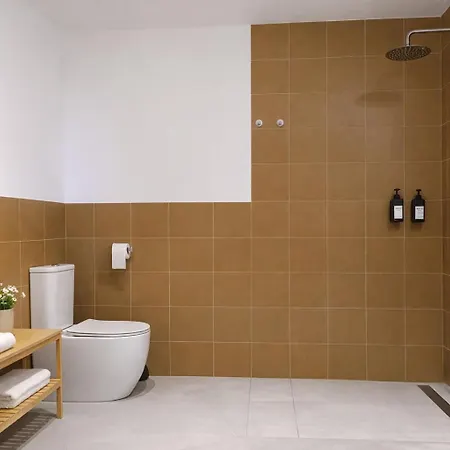 Olmaya Flats Valencie