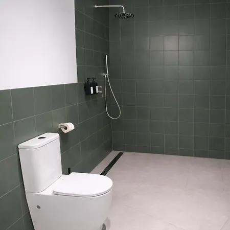 Olmaya Flats Valencie